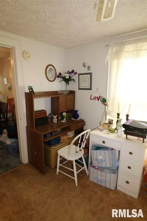 1109 E Willcox Ave, Peoria, IL 61603 photo 16