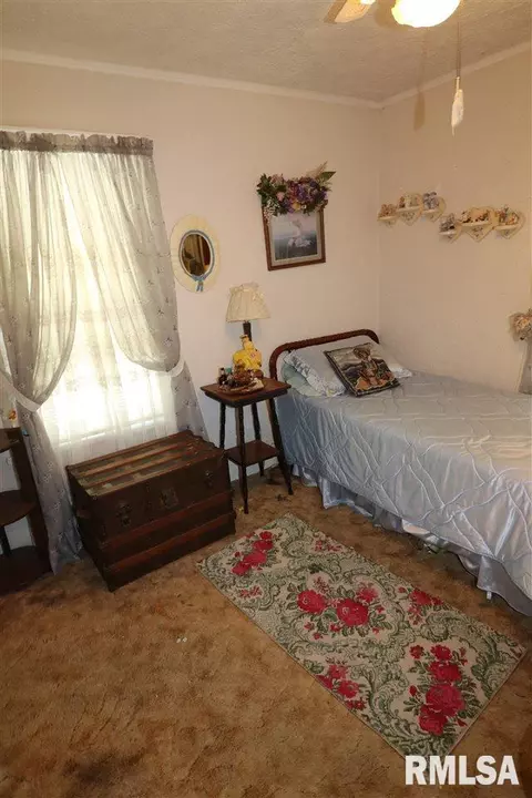 1109 E Willcox Ave, Peoria, IL 61603 photo 19