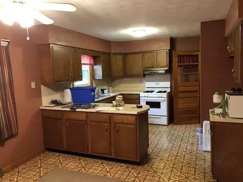 614 E Washington St, Cuba, IL 61427 photo 9