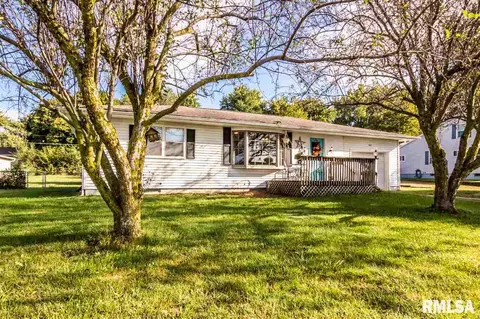 807 E 2nd St, Delavan, IL 61734 photo 31