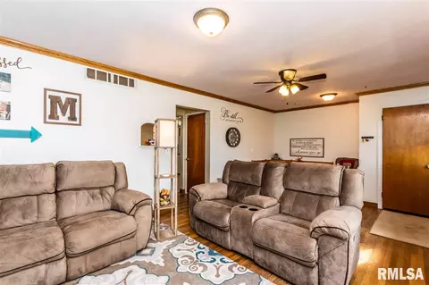 807 E 2nd St, Delavan, IL 61734 photo 8