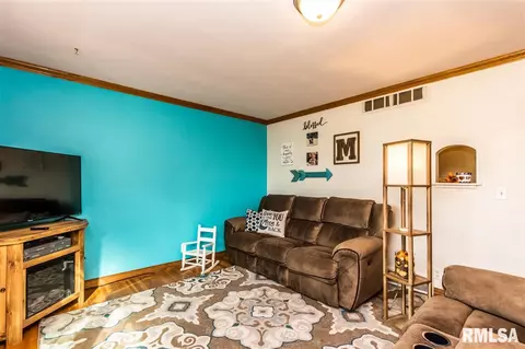 807 E 2nd St, Delavan, IL 61734 photo 7