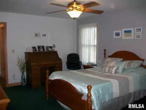705 E Sycamore St, Canton, IL 61520 photo 19