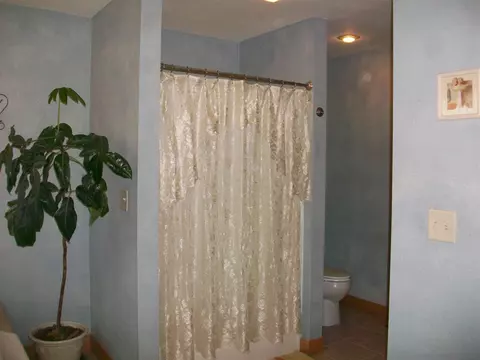 705 E Sycamore St, Canton, IL 61520 photo 21