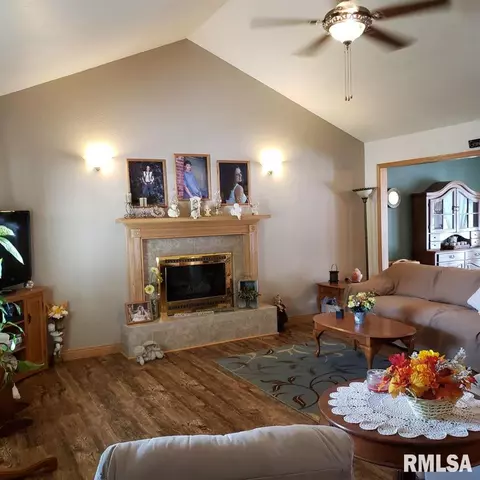 705 E Sycamore St, Canton, IL 61520 photo 4