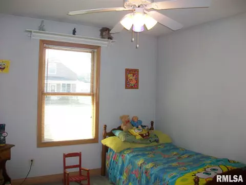 705 E Sycamore St, Canton, IL 61520 photo 25