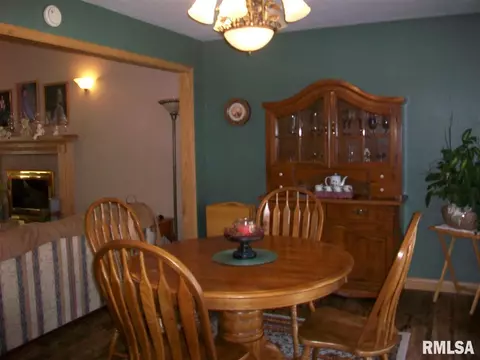 705 E Sycamore St, Canton, IL 61520 photo 11