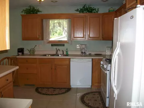 705 E Sycamore St, Canton, IL 61520 photo 15
