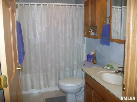 705 E Sycamore St, Canton, IL 61520 photo 23
