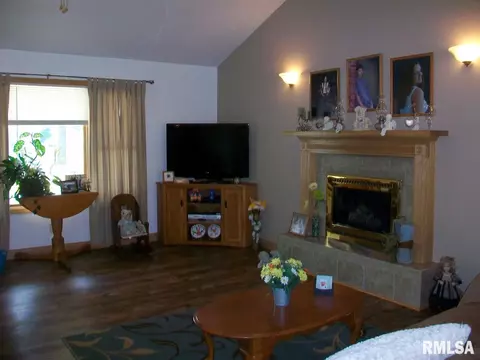 705 E Sycamore St, Canton, IL 61520 photo 9