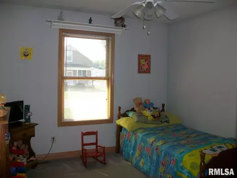 705 E Sycamore St, Canton, IL 61520 photo 24