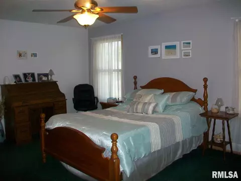 705 E Sycamore St, Canton, IL 61520 photo 18