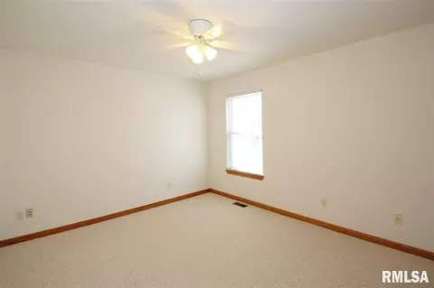 111 Marvin Ct, Germantown Hills, IL 61548 photo 20