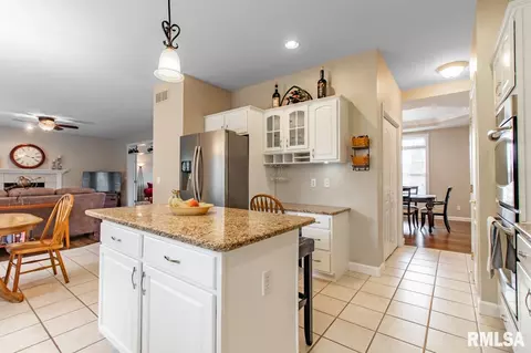 2207 W Murphy Dr, Dunlap, IL 61525 photo 19