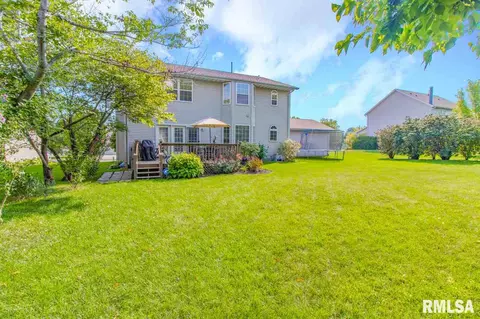 2207 W Murphy Dr, Dunlap, IL 61525 photo 40