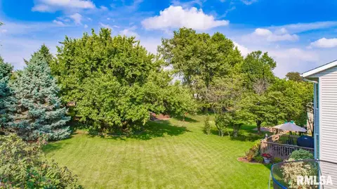 2207 W Murphy Dr, Dunlap, IL 61525 photo 41