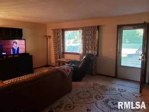 205 E Vine Dr, Astoria, IL 61501 photo 3