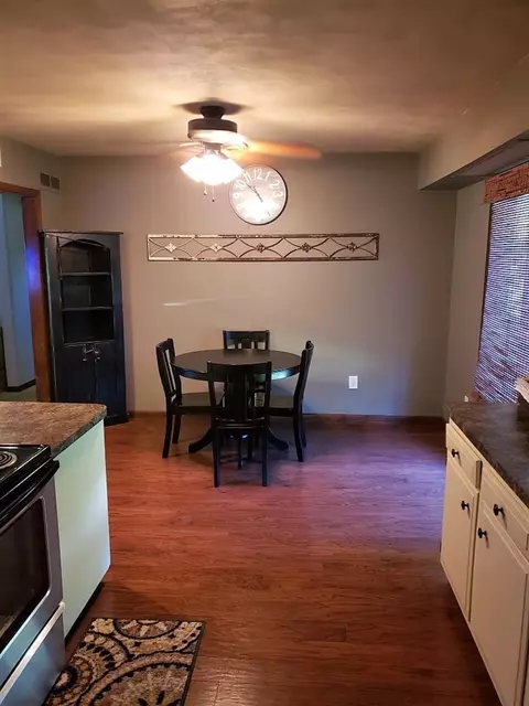 205 E Vine Dr, Astoria, IL 61501 photo 7