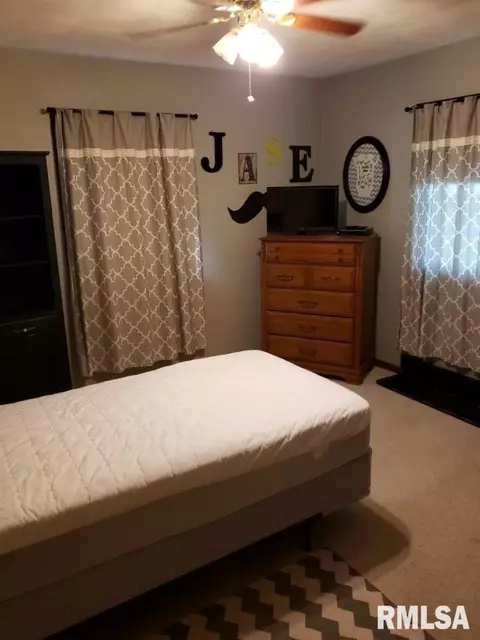 205 E Vine Dr, Astoria, IL 61501 photo 11