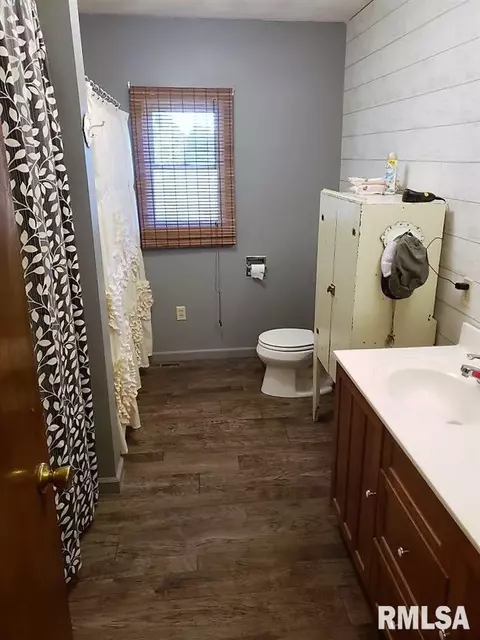205 E Vine Dr, Astoria, IL 61501 photo 9