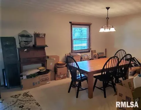 205 E Vine Dr, Astoria, IL 61501 photo 4