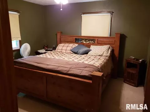 205 E Vine Dr, Astoria, IL 61501 photo 8