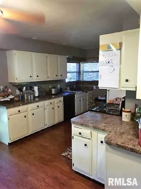 205 E Vine Dr, Astoria, IL 61501 photo 6