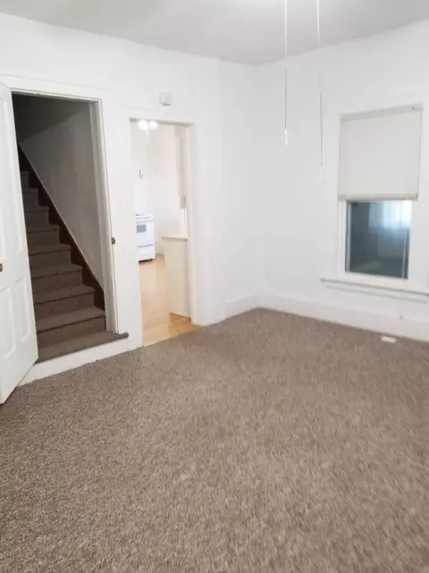 705 Elm St, Canton, IL 61520 photo 9