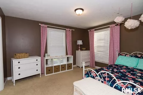 1217 Greenview Dr, Eureka, IL 61530 photo 29