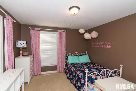 1217 Greenview Dr, Eureka, IL 61530 photo 30