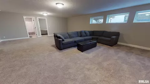 3317 W Boulder Point Ct, Dunlap, IL 61525 photo 27