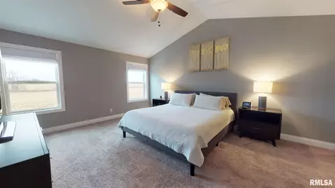 3317 W Boulder Point Ct, Dunlap, IL 61525 photo 16