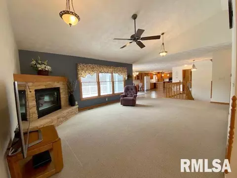 1308 E Juniper St, Canton, IL 61520 photo 5