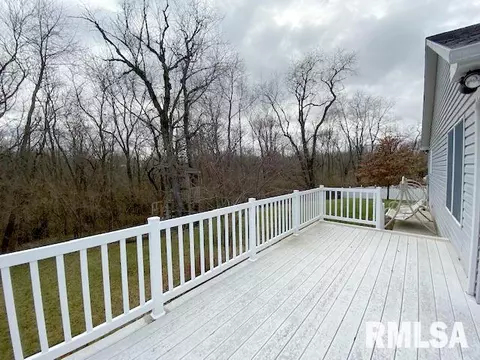1308 E Juniper St, Canton, IL 61520 photo 29