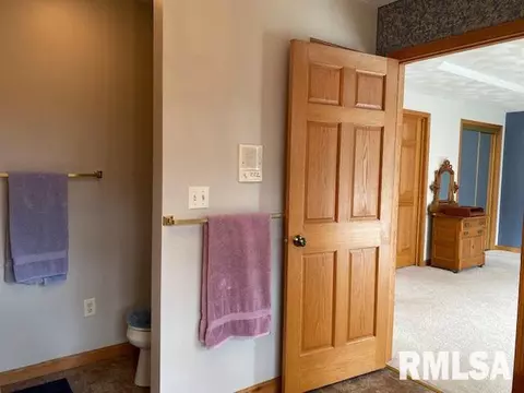 1308 E Juniper St, Canton, IL 61520 photo 16
