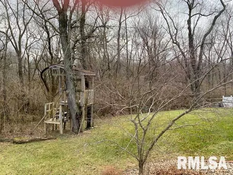 1308 E Juniper St, Canton, IL 61520 photo 31