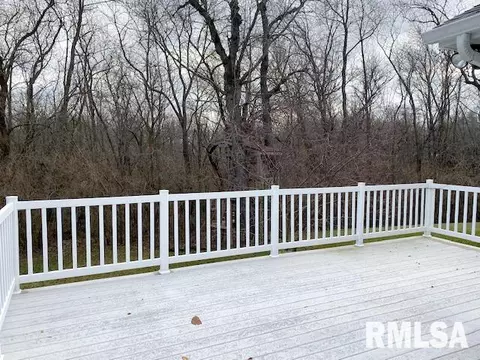 1308 E Juniper St, Canton, IL 61520 photo 30
