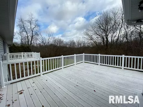 1308 E Juniper St, Canton, IL 61520 photo 27