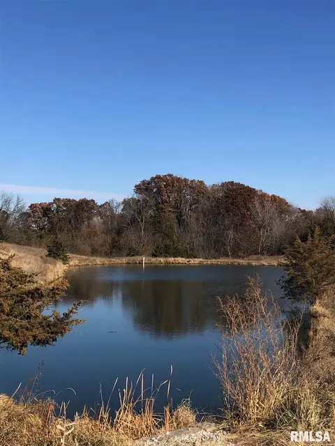 11382 E Cameron Rd, Cuba, IL 61427 photo 3