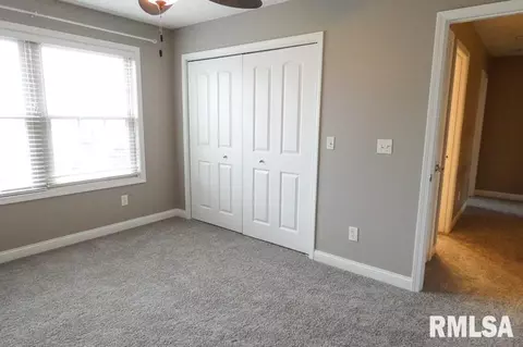 11032 N Moonstone Ct, Dunlap, IL 61525 photo 14