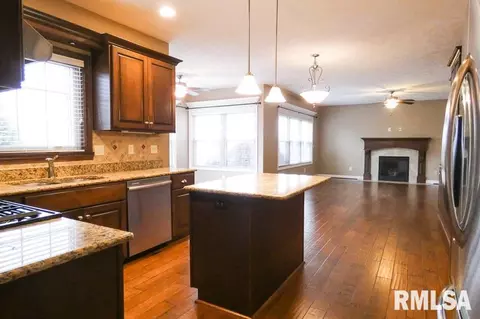 11032 N Moonstone Ct, Dunlap, IL 61525 photo 9