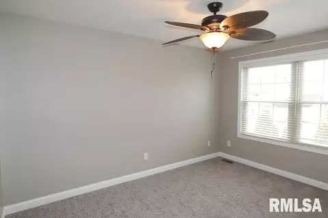 11032 N Moonstone Ct, Dunlap, IL 61525 photo 13