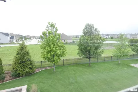 11032 N Moonstone Ct, Dunlap, IL 61525 photo 35