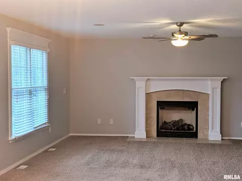 2973 Grey Hawk Dr, Normal, IL 61761 photo 14