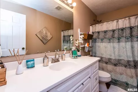 4638 S Tewkesbury Ct, Mapleton, IL 61547 photo 17