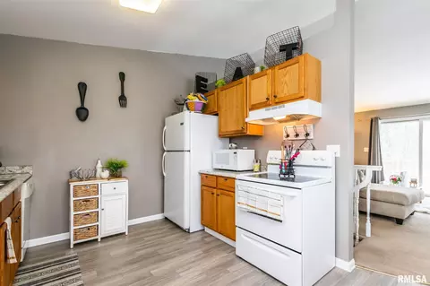 4638 S Tewkesbury Ct, Mapleton, IL 61547 photo 6
