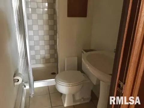 280 Buzzy Ln, Ipava, IL 61441 photo 38