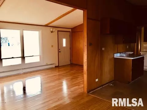280 Buzzy Ln, Ipava, IL 61441 photo 23