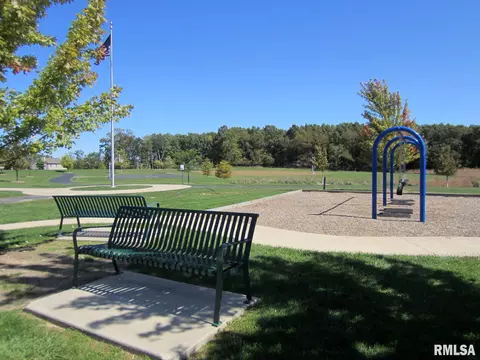 6517 W Hazel Nut Dr, Edwards, IL 61528 photo 48