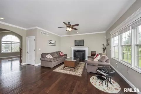 6517 W Hazel Nut Dr, Edwards, IL 61528 photo 8